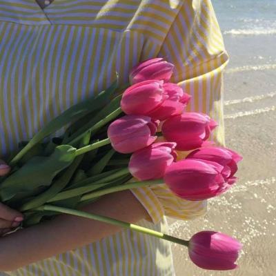 欢迎来到b体育手机登录(图2)