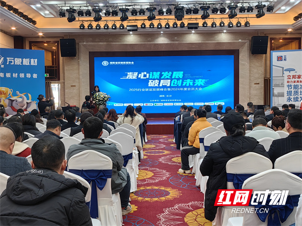 凝心聚力破局创新 2025行业联谊发展峰会暨年度会员大会成功举行(图1)
