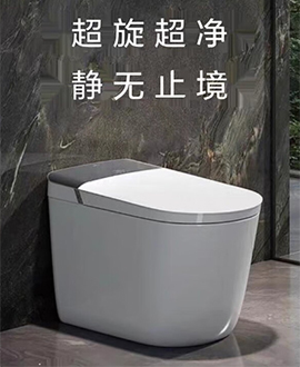 中国智能座便器行业发展趋势研究与未来前景报告（2024-2031年）