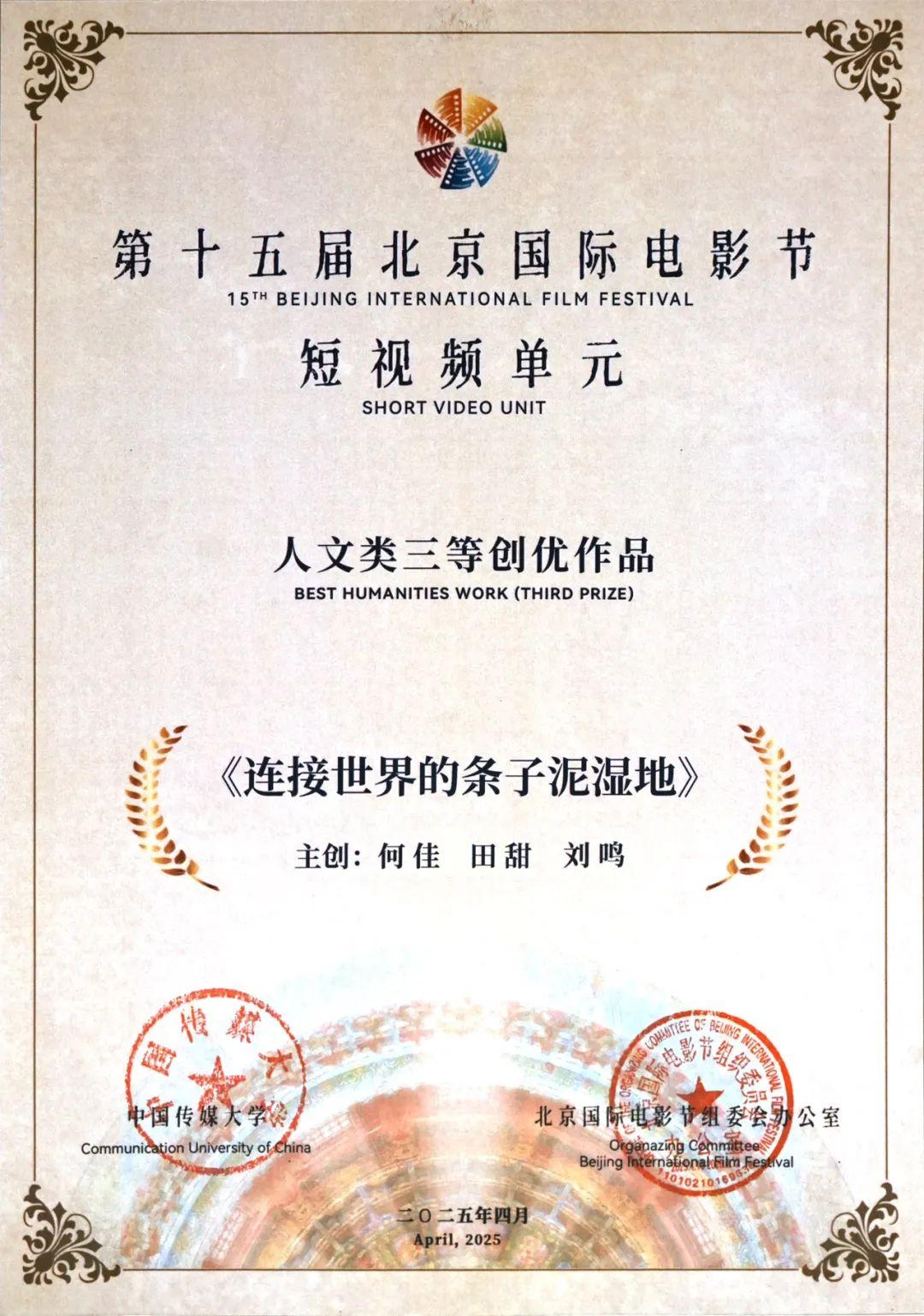 东台亮相国际电影节(图1)