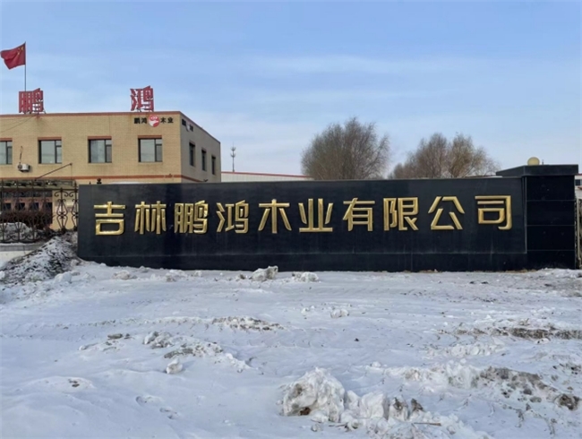2025全屋定制十大品牌揭晓：鹏鸿木业领衔绿色家居新风向(图1)