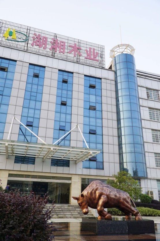 2025板材行业大洗牌！最新十大品牌排名震撼公布(图2)