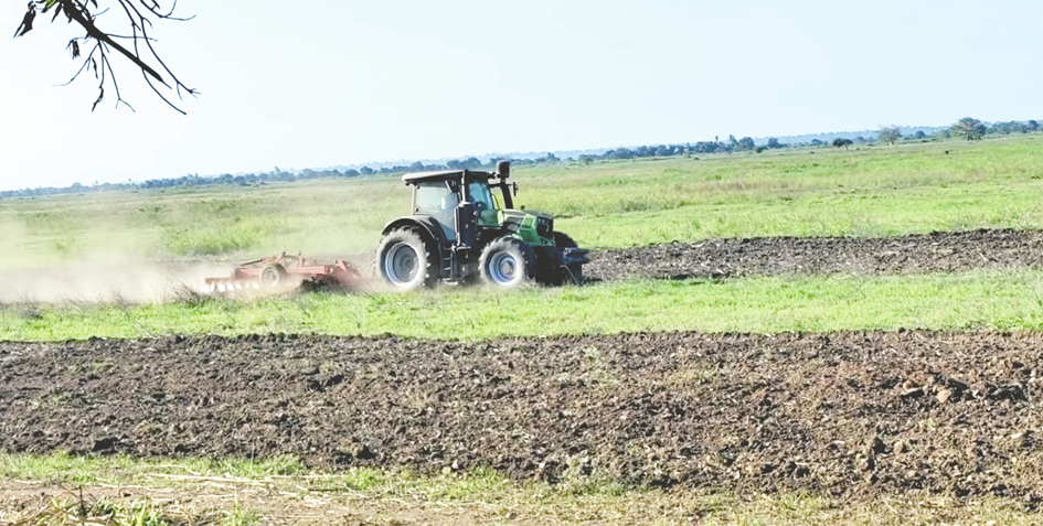 租下25万亩“试验田”兽医学博士在非洲种粮(图1)