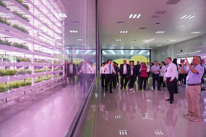 共同奔赴美好未来——中国携手上合伙伴汇聚和平发展力量(图3)