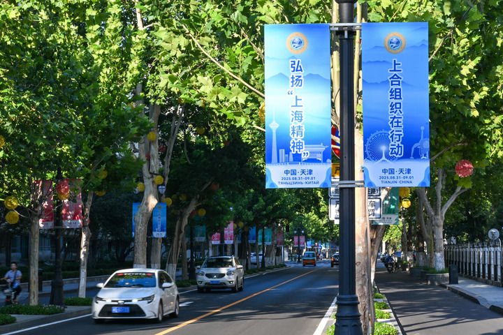 共同奔赴美好未来——中国携手上合伙伴汇聚和平发展力量(图2)