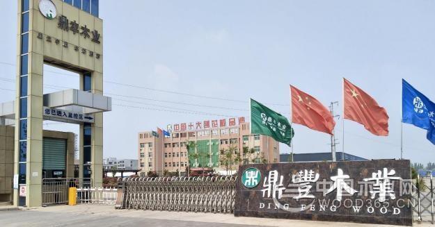 亏损、退市、突围 人造板上市企业大洗牌(图4)