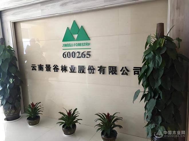 亏损、退市、突围 人造板上市企业大洗牌(图2)