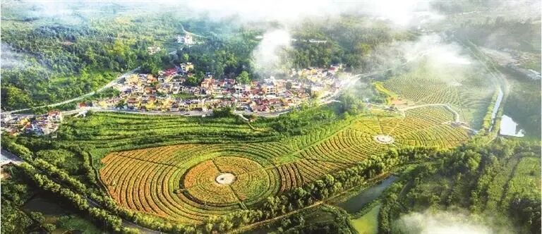 中山市农业农村局(图1)