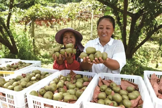中山市农业农村局(图4)