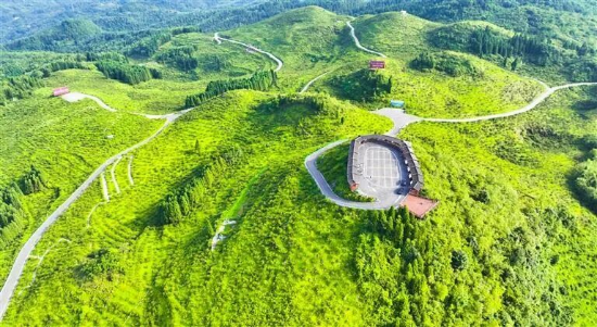 中山市农业农村局(图5)