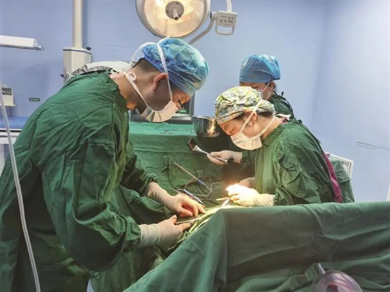 中山市农业农村局(图8)