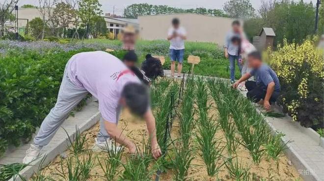 【2025官网】闵行尚湾林语官方售楼处发布：尚湾林语邂逅美好生活(图20)