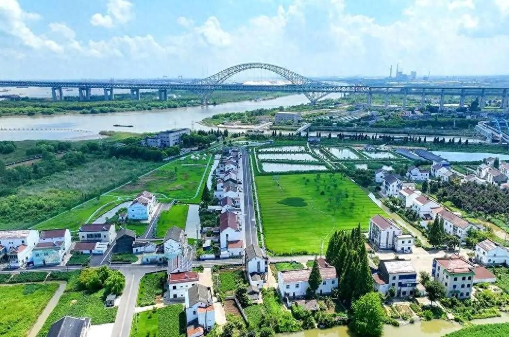 江苏常州:抓稳大桥“流量”江畔小村“以绿生金”激活振兴新动能(图1)