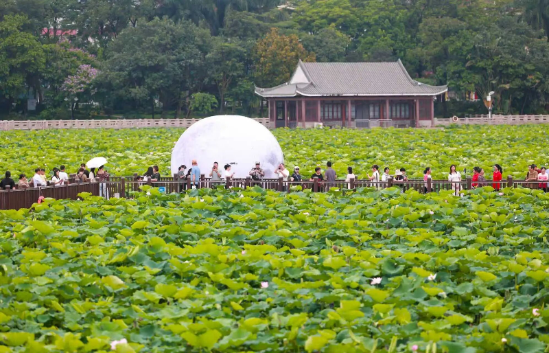 有颜值有内涵！在“千亿镇”遇“鉴”东莞乡村之美(图3)