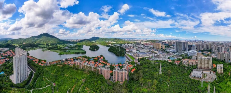 有颜值有内涵！在“千亿镇”遇“鉴”东莞乡村之美(图6)