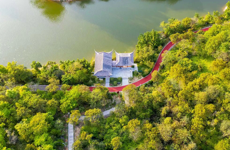 有颜值有内涵！在“千亿镇”遇“鉴”东莞乡村之美(图8)