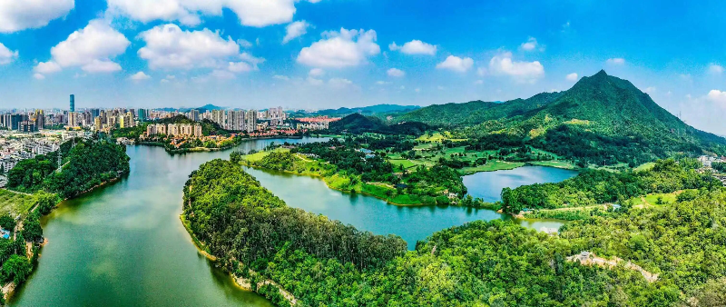 有颜值有内涵！在“千亿镇”遇“鉴”东莞乡村之美(图9)