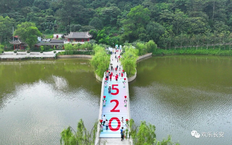 有颜值有内涵！在“千亿镇”遇“鉴”东莞乡村之美(图13)