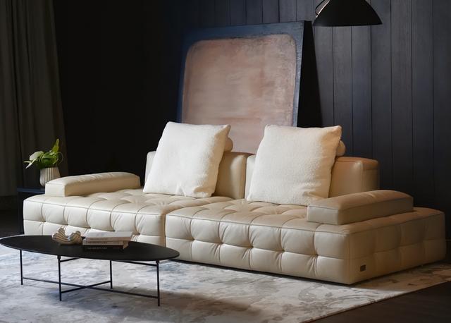 哪个沙发好？最新沙发十大品牌排行出炉颜值与实力并存！(图9)