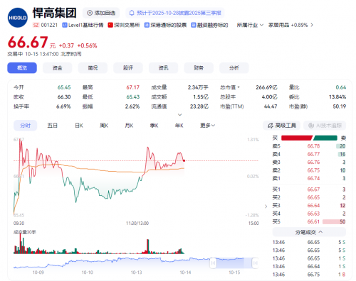 悍高集团股票分析：次新标的基本面亮眼高增长下估值需动态审视(图1)