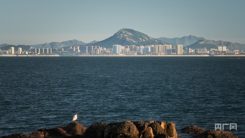 行进的海岸线｜一半古城烟雨一半碧海潮生(图4)