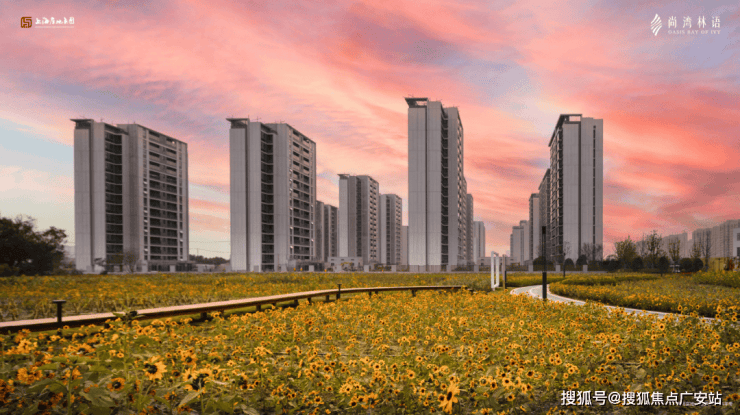 尚湾林语售楼处│尚湾林语(营销中心) 官网 - 2025 销售中心 (售楼处)- 楼盘欢迎您 价格  户型  地址环境配套交房时间电话(图19)