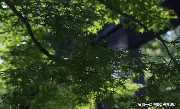 曼荼园(售楼处) 首页 - 【曼荼园】销售中心 - 环境户型价格地址楼盘详情配套交房时间配套电话交房时间(图2)