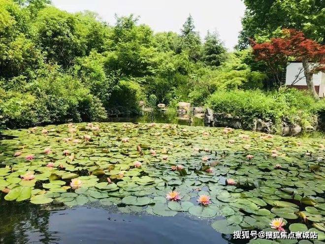 曼荼园(售楼处) 首页 - 【曼荼园】销售中心 - 环境户型价格地址楼盘详情配套交房时间配套电话交房时间(图14)