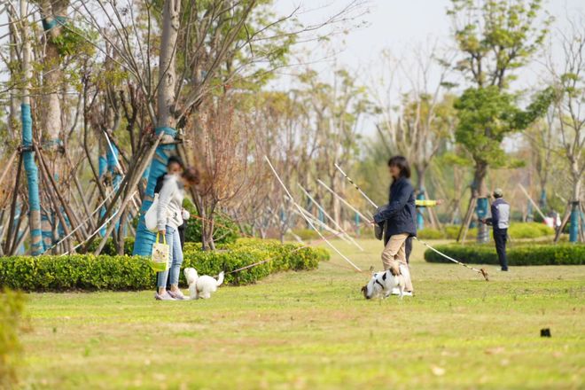 甄选好房@闵行象屿天誉兰香官方售楼处电话：项目地址@最新房价(图27)