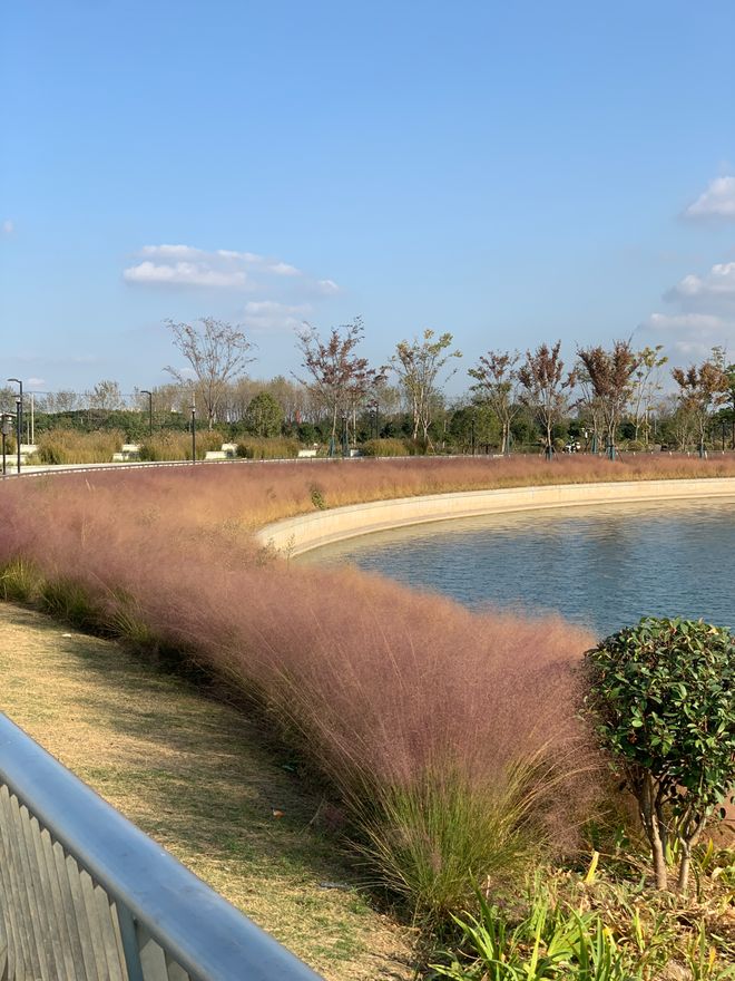 甄选好房@闵行象屿天誉兰香官方售楼处电话：项目地址@最新房价(图30)