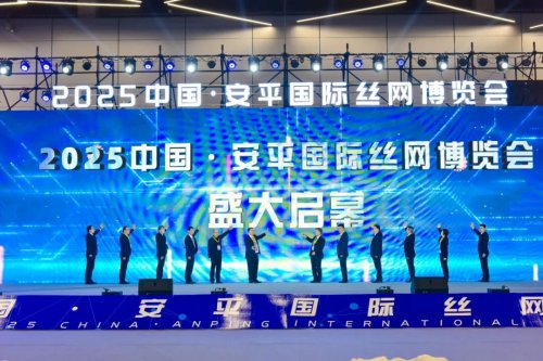 全球精英聚安平 共赴“智造”之约(图1)