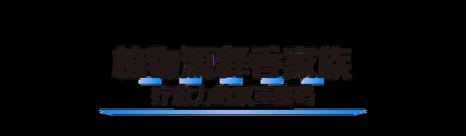 把“第六感”装进家 莫干山板材以香为媒解锁家居疗愈新维度(图4)