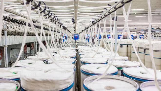 水口镇：拥抱江门八镇联动利好助力构建区域协调发展新格局(图4)