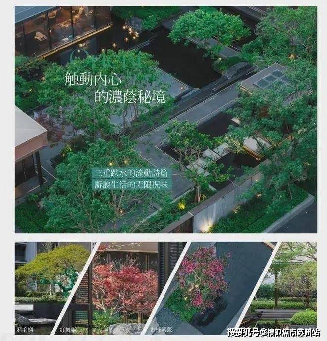 保利海上瑧悦(海上瑧悦售楼处)首页网站-2025楼盘评测_售楼处电话丨房价丨详情丨地址丨楼盘百科详情(图15)