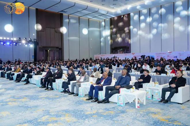 锚定新机走进非洲 “浙”里有新范式(图1)