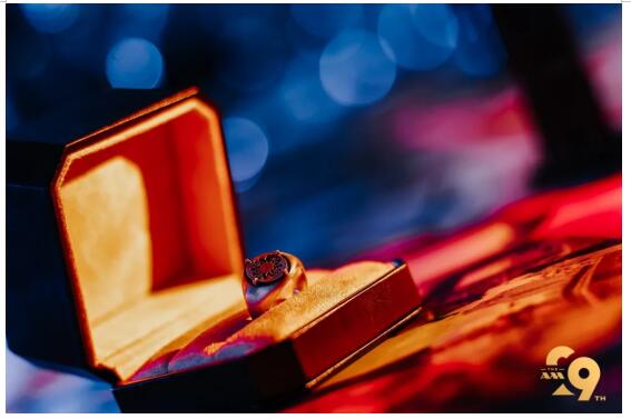 第29届Andrew Martin国际室内设计大奖颁奖典礼amp;amp;马丁汇年会(图32)