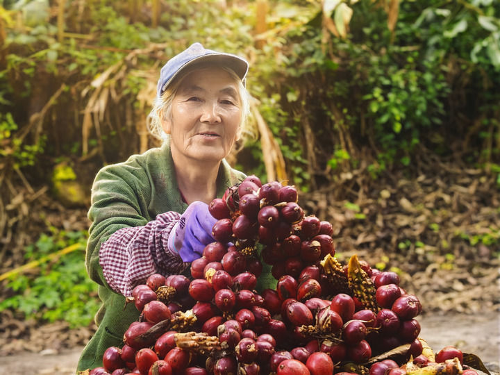 奔流的希望——“地球褶皱”里的山海新梦(图5)