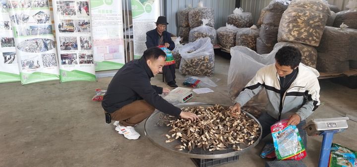 奔流的希望——“地球褶皱”里的山海新梦(图7)