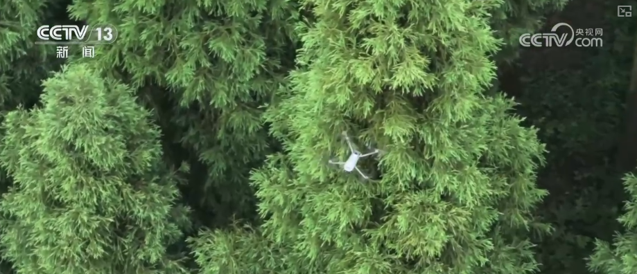 顶压前行、逆势增长为什么行?打开“集装箱”解锁“抢手货”看外贸新亮点(图17)