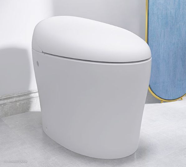 智能马桶有哪些品牌呢？比较好的智能马桶品牌有哪些？(图1)