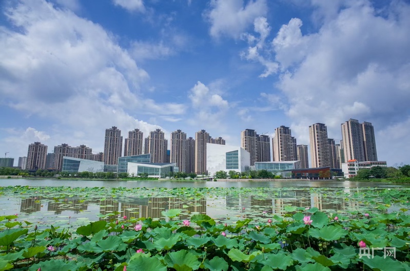 佛山三水:招商引资总额连续三年突破800亿元(图1)