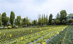 预测2024年中国定制家居市场规模将增至3342亿元成为家居行业新的增长点(图2)